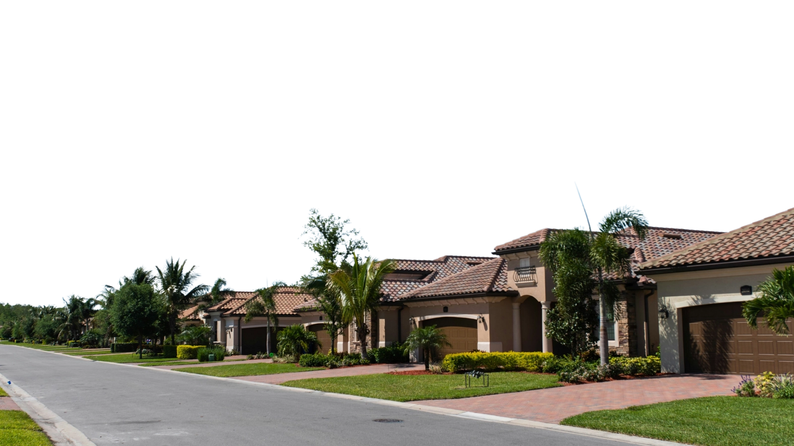 Row of homes with tile roofs, palm trees, and driveways along a quiet Florida neighborhood street.