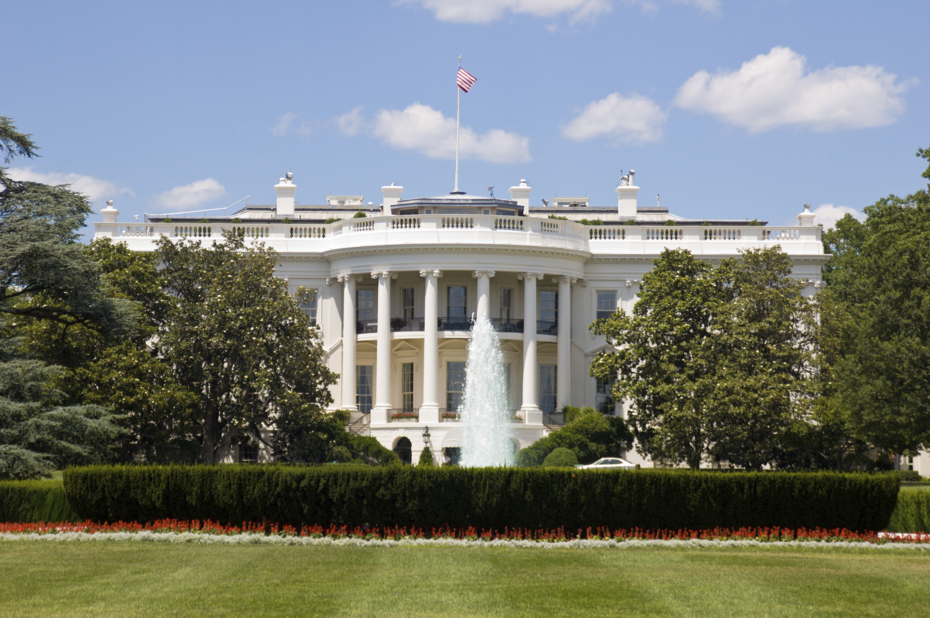 Of Markets, Government, Lawyers, and Freedom